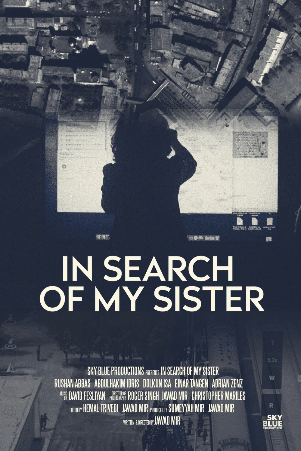In Search of My Sister official poster
